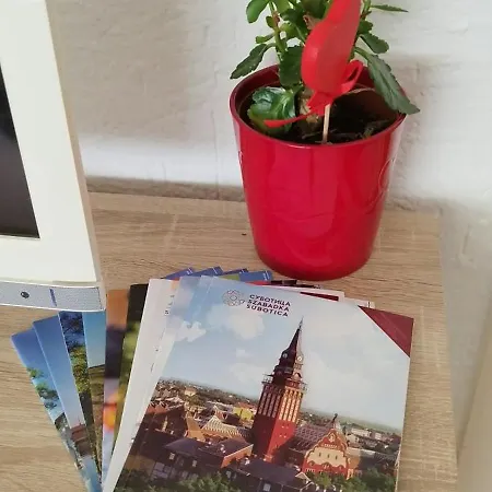 Twins Apartament Subotica