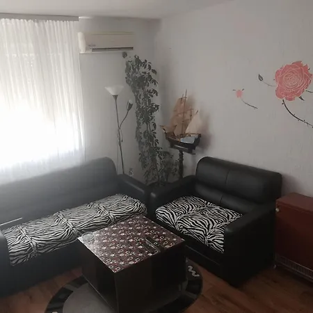 Twins * 苏博蒂察