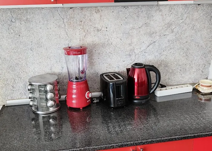 Twins * スボティツァ